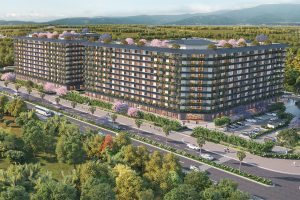 Lynn Times Onsen Retreat Nam Hà Nội